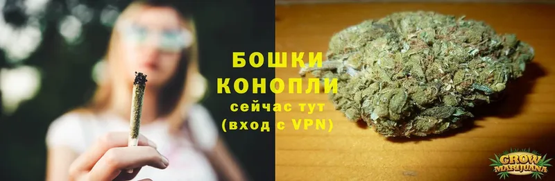 купить наркоту  Руза  Марихуана Ganja 